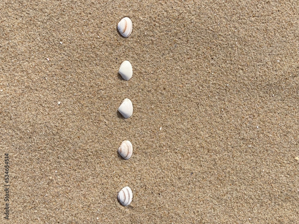 Seashells arranged as bullet points in sand on beach Seashells arranged as bullet points in sand on beach