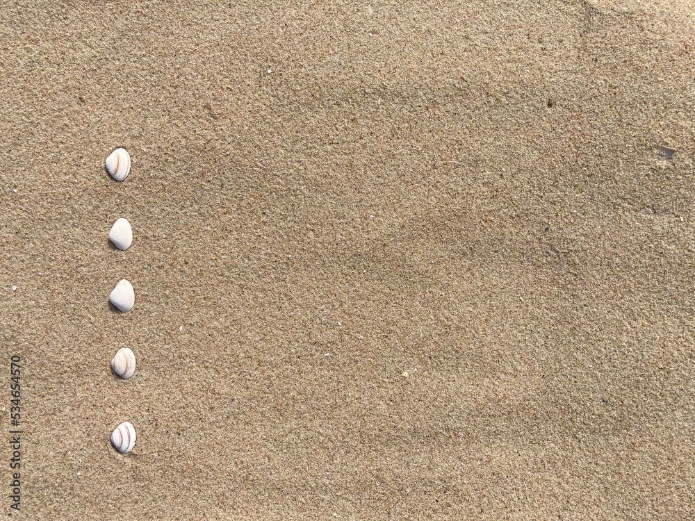 Seashells arranged as bullet points in sand on beach Seashells arranged as bullet points in sand on beach