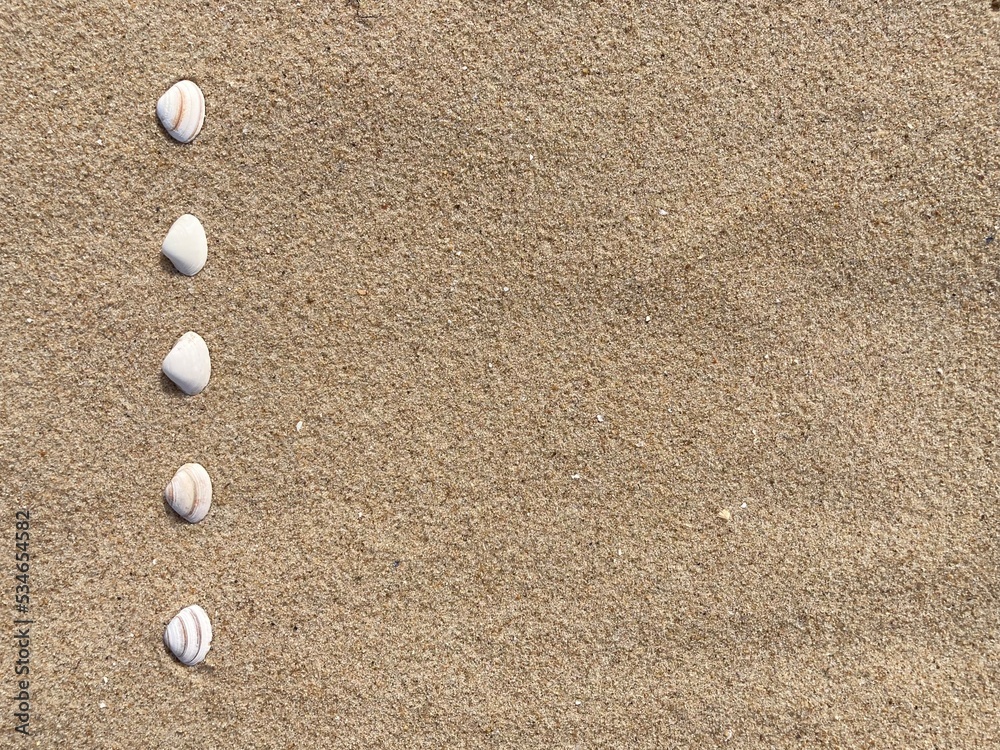 Seashells arranged as bullet points in sand on beach Seashells arranged as bullet points in sand on beach