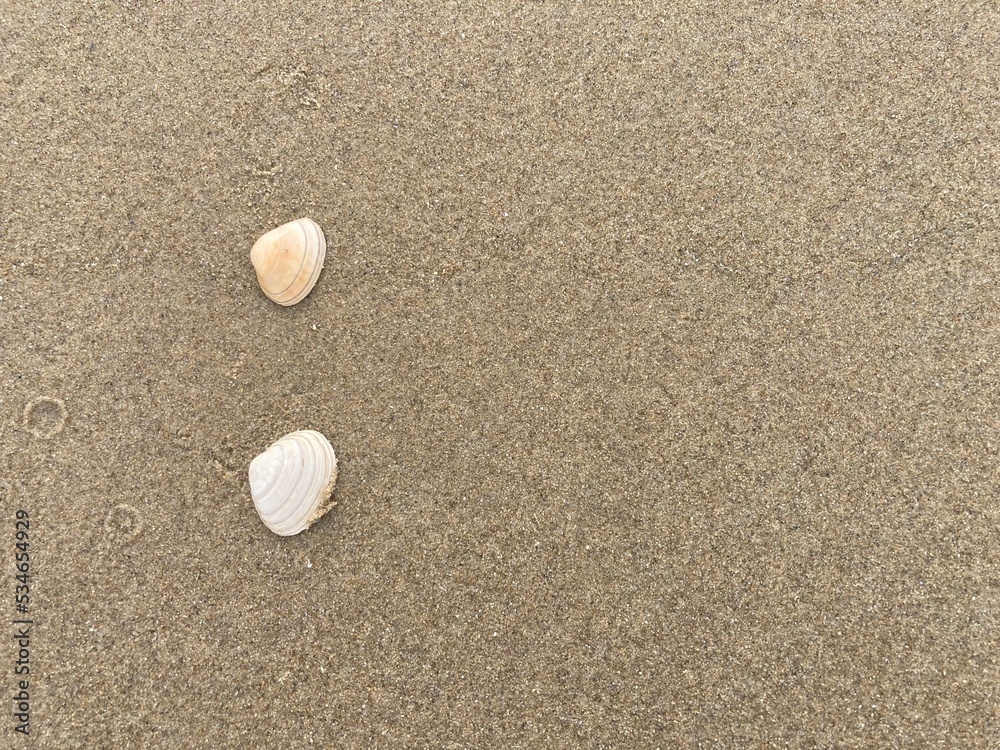 Seashells arranged as bullet points in sand on beach Seashells arranged as bullet points in sand on beach