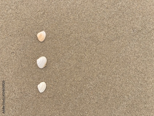 Seashells arranged as bullet points in sand on beach