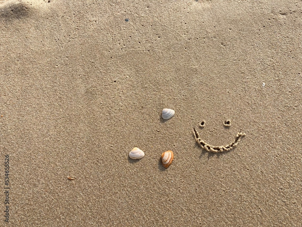 A smiling face carved in the sand with seashells