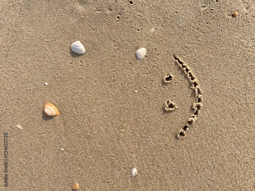 A smiling face carved in the sand with seashells