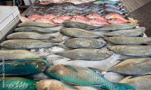 Fresh fish for sale at a market in Tahiti including colorful parrot fish