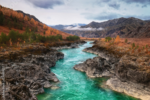 Fototapeta Naklejka Na Ścianę i Meble -  Altai mountain river landscape, panoramic scenery turquoise stream
