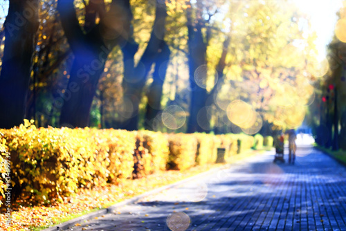 path in the autumn park sunny landscape wallpaper fall abstract