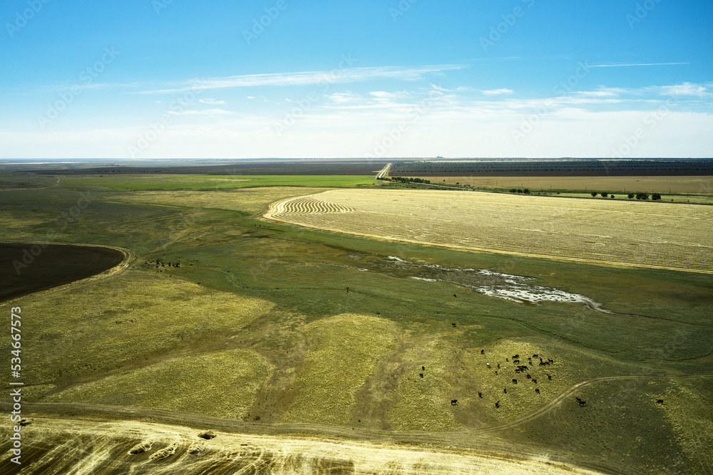 Naklejka premium steppe rural landscape - sun-scorched grass, road, small lake and blue sky