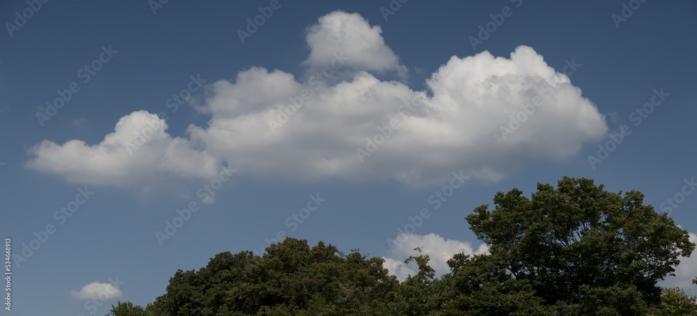 空 雲 木 cloud, sunny, tree
空 雲 木 cloud, sunny, tree