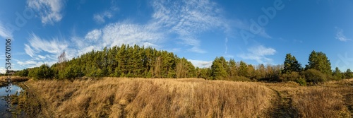 landscape with trees, dry grass and clouds in late autumn
