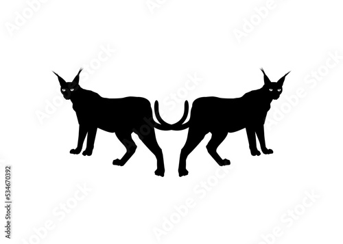 Pair of the Caracal Cat Silhouette for Logo  Pictogram  Website or Graphic Design Element. Vector Illustration