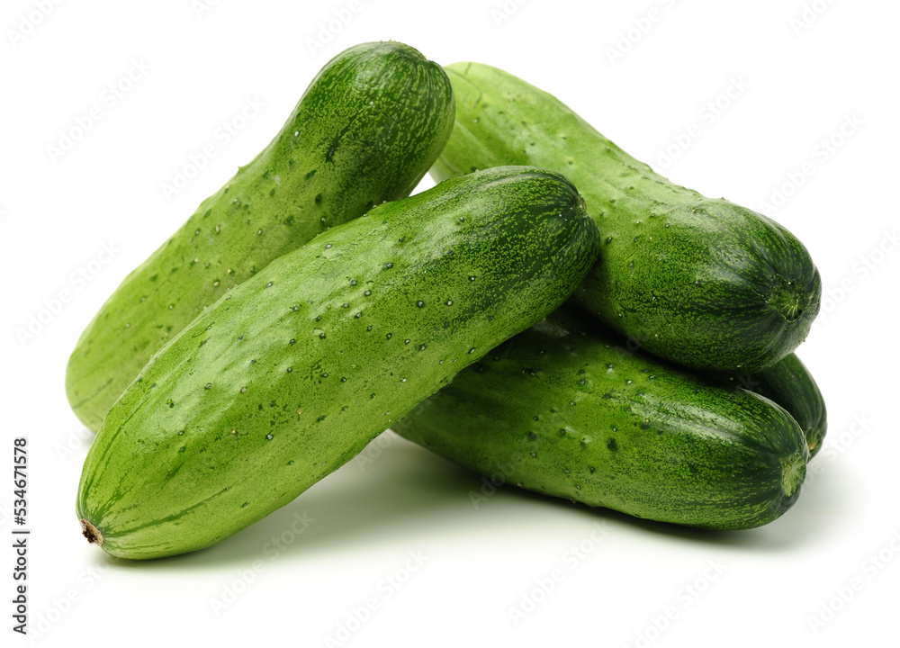 Green cucumber on the white background Green cucumber on the white background