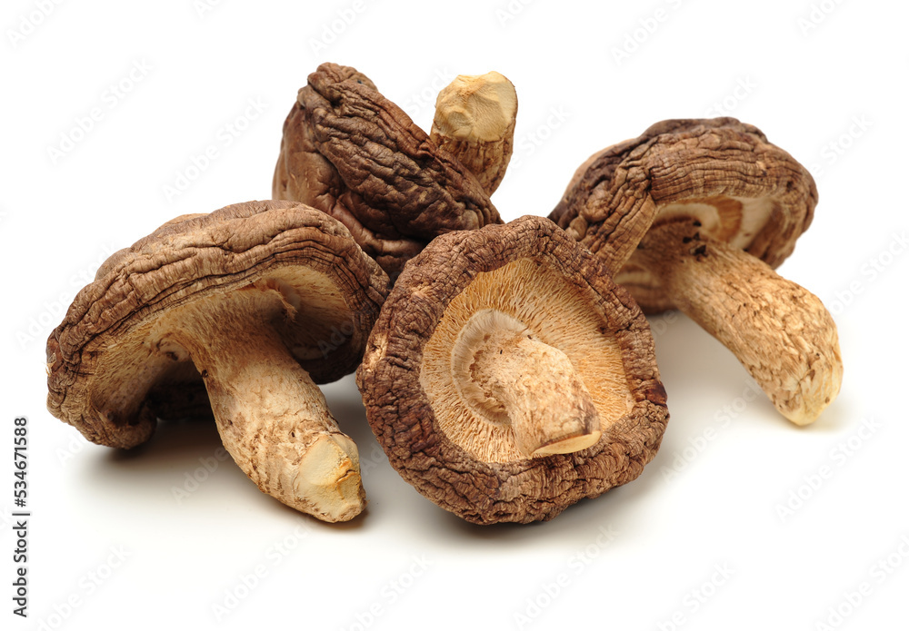 Shiitake mushroom on the White background Shiitake mushroom on the White background