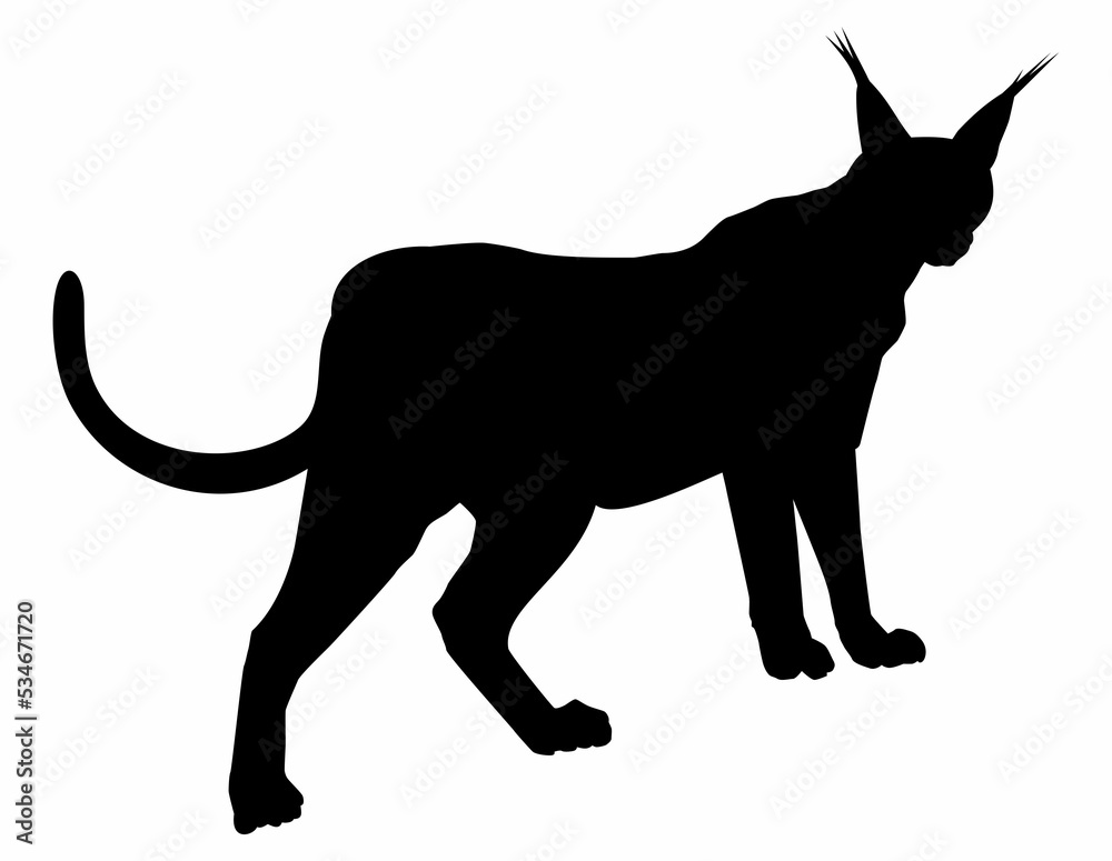 Caracal Cat Silhouette for Logo, Pictogram, Website or Graphic Design Element. Format PNG