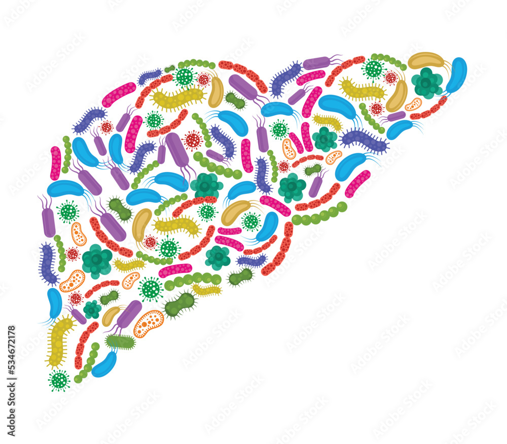 Liver made of Bacteria isolated on white background. Vector illustration. Liver made of Bacteria isolated on white background. Vector illustration.