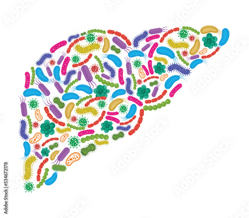 Liver made of Bacteria isolated on white background. Vector illustration.