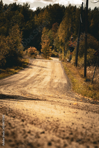 road in the autumn
