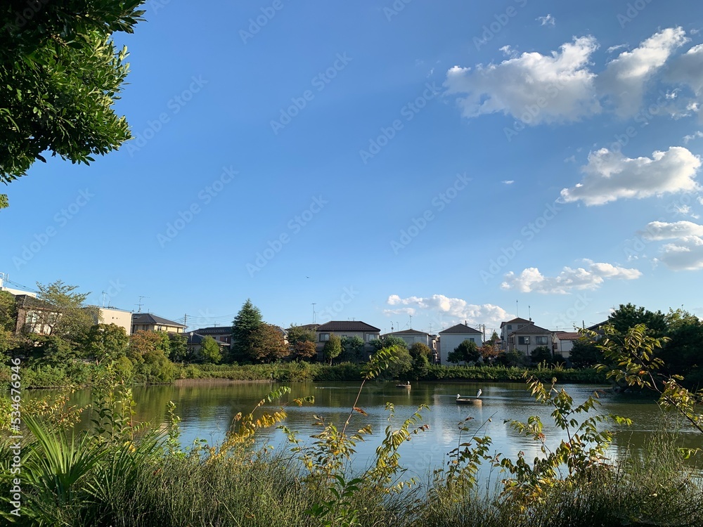 Fototapeta premium 春日部の大池親水公園
