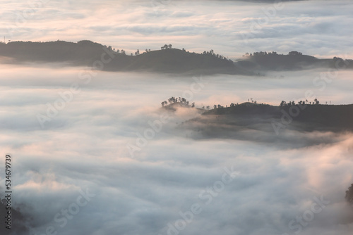 Morning mist at Phu Chi Fa, Northern Thailand.