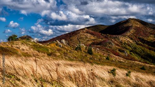 Fototapeta Naklejka Na Ścianę i Meble -  The palette of autumn colors in the mountains. Bukowe Berdo, Bieszczady National Park, Carpathians, Poland.