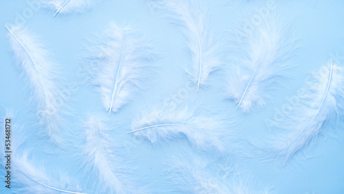 Fototapeta Naklejka Na Ścianę i Meble -  White fluffy feathers on a light blue background