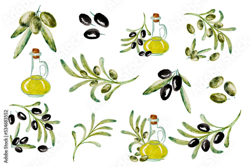 Watercolor vector set with olive. Hand painted illustration with olive berries, bottle with olive oil and tree branches with leaves isolated on white background. For design, print and fabric.