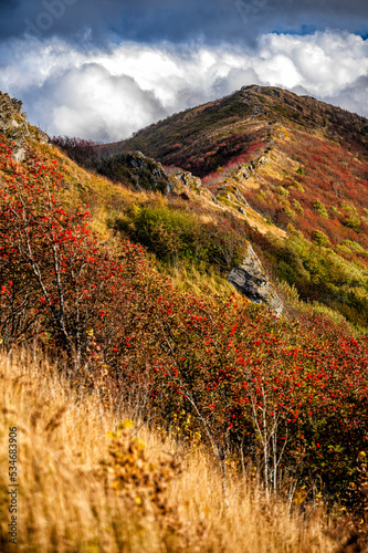 Fototapeta Naklejka Na Ścianę i Meble -  The palette of autumn colors in the mountains. Bukowe Berdo, Bieszczady National Park, Carpathians, Poland.