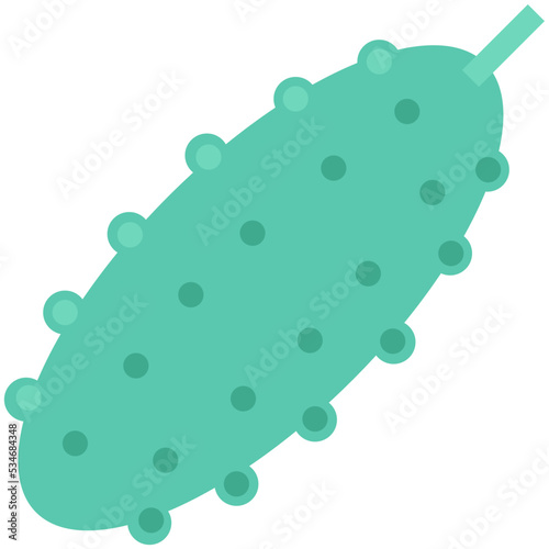 Bitter Gourd Colored Vector Icon