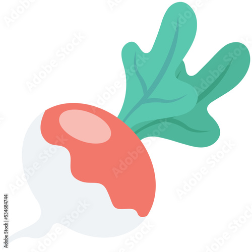 Turnip Colored Vector Icon