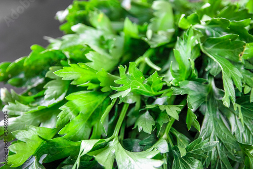 Bunch of parsley stem closeup view