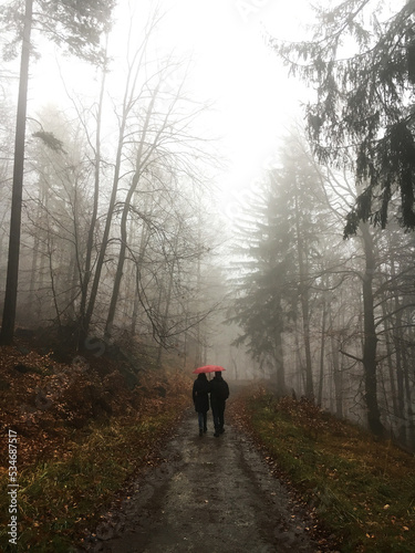 Walking in the fog woods