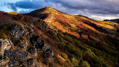 The palette of autumn colors in the mountains. Bukowe Berdo, Bieszczady National Park, Carpathians, Poland. photo