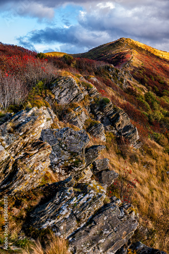 Fototapeta Naklejka Na Ścianę i Meble -  The palette of autumn colors in the mountains. Bukowe Berdo, Bieszczady National Park, Carpathians, Poland.