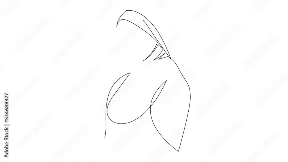 Beautiful woman in hijab continuous line drawing. Minimalist style one line art. Full length self drawing animation.