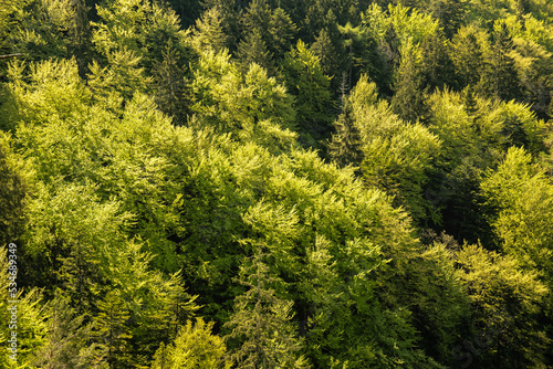 Amazing Slovakia nature, trekking in the forest. Spending time in the mountains. Healthy and active lifestyle.