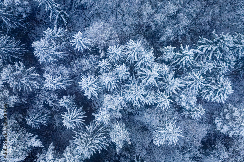 Travel in winter. Snowy forest road at winter. Travel in winter. Snowy forest road at winter.