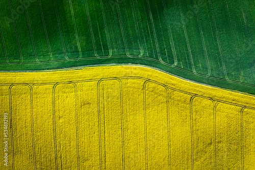 Canvas-taulu Top down view of green and yellow field in countryside.