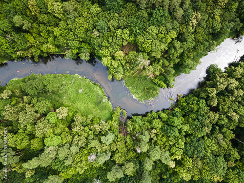 Aerial view of kayaking on river in wildlife, Poland