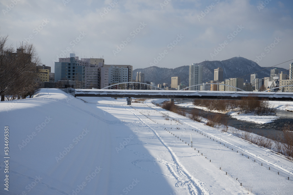 Fototapeta premium 冬の川辺の風景