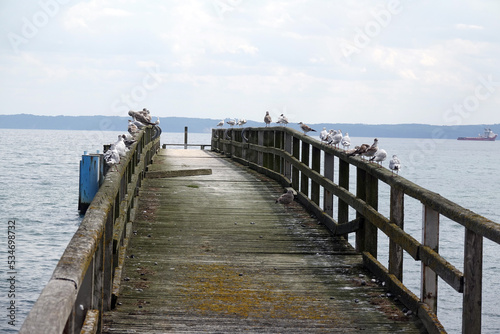 Seebruecke bei Sassnitz  Ruegen