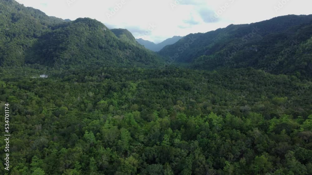 The beauty of the tropical forest in Aceh Besar, Aceh, Indonesia. The beauty of the tropical forest in Aceh Besar, Aceh, Indonesia.