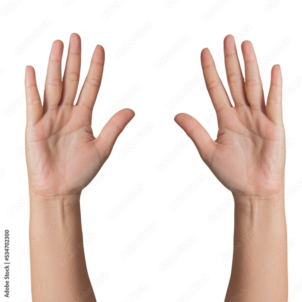 Closeup Beautiful female hand count from one to five gesture Isolated on blank white background. Set of woman palms raised fingers gesture numbers concept for people thumb nail solution. Closeup Beautiful female hand count from one to five gesture Isolated on blank white background. Set of woman palms raised fingers gesture numbers concept for people thumb nail solution.