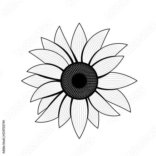 Abstract Hand Drawn Sunflower Flower Plant Botanic Floral Nature Bloom Doodle Concept Vector Design Outline Style On White Background Isolated