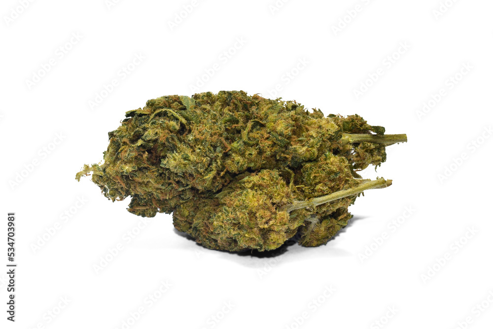 close-up cannabis flower clearly visible details isolated from background, cut background png, cannabis flower with flowers and transparent background shadow close-up cannabis flower clearly visible details isolated from background, cut background png, cannabis flower with flowers and transparent background shadow