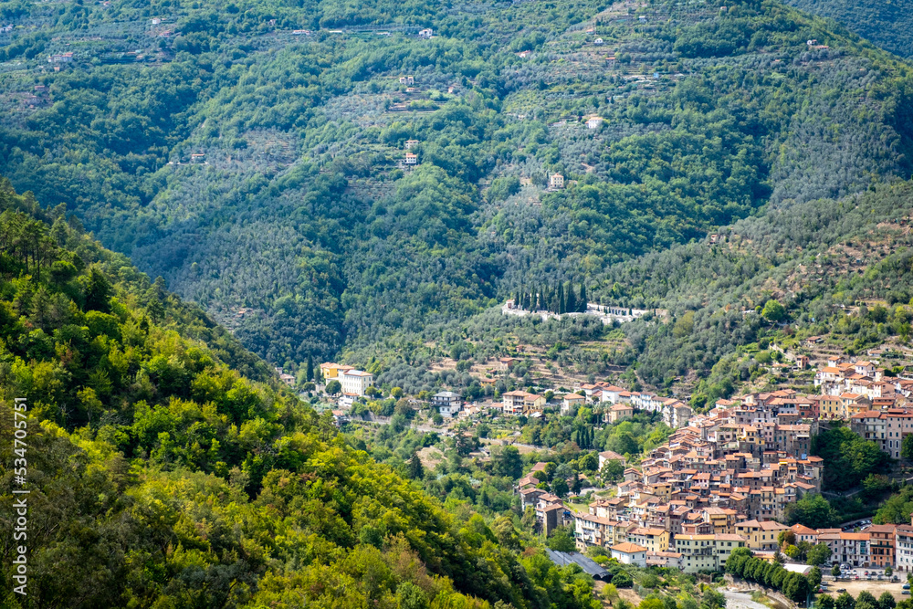 The hills, woods and olive trees of Val Nervia; It is a verdant valley in the Liguria Region (Northern Italy), between the sea and the Ligurian Alps, near the Italian-French border.