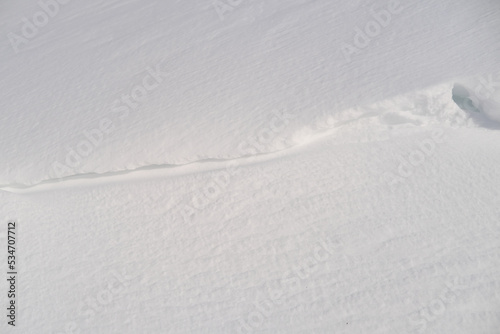 white snow lies on a flat surface, the texture of a snowdrift, beautiful winter landscape, snow-covered fluffy fir trees, walks in the winter white forest, snowfall