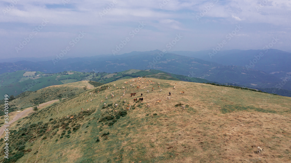 Asturias vista desde arriba, fotografía de naturaleza