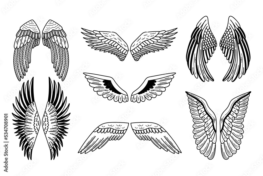 Wings vector doodle set on white backround. Fly design vector illustration Wings vector doodle set on white backround. Fly design vector illustration