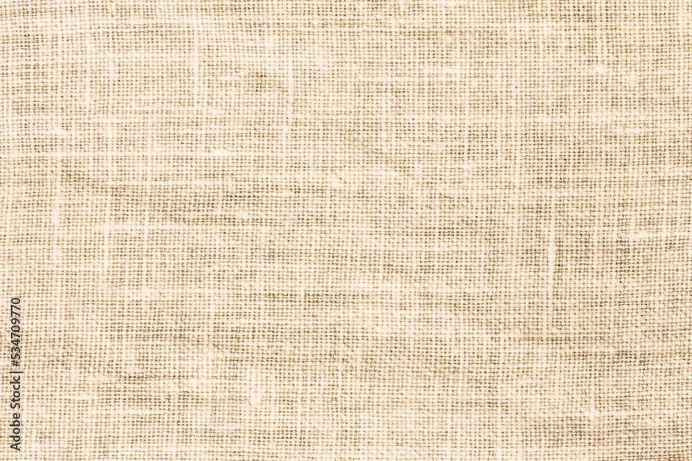 Natural texture background. / Pattern of closed up surface textile canvas material fabric
Natural texture background. / Pattern of closed up surface textile canvas material fabric