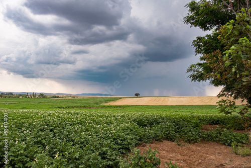 landscape with a field and clouds,Rain clouds, distant dark clouds and pouring rain, a tree, lonely tree, cultivated fields.Selective focus, noise effect