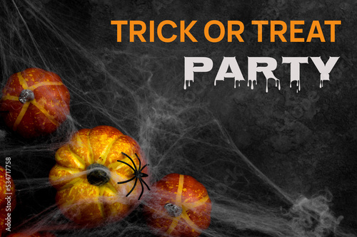 Mystery Halloween background with pumpkins covered in spiderweb and spider on top. Trick or treat party text. Invitation banner